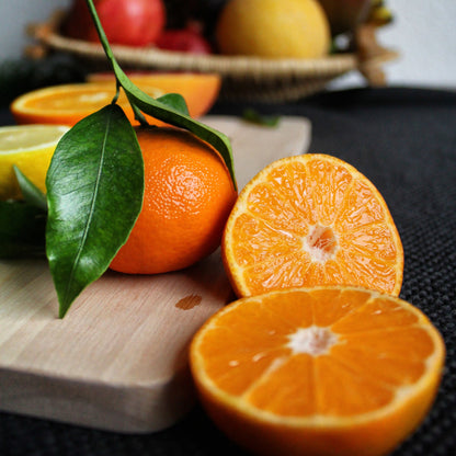 Satsuma Clementine