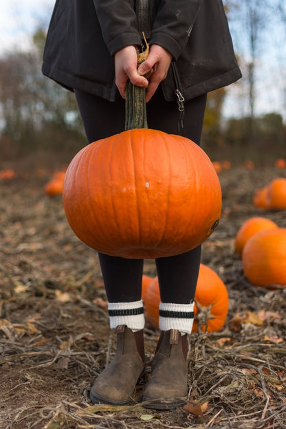 Sweet Cinnamon Pumpkin